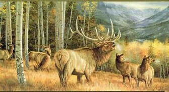 Elk Wallpaper