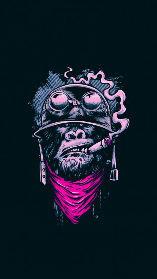 Monkey Wallpaperun V1hu Wallpaper