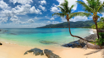 Tropical Nature Beach 4k Ultra HD Wallpaper