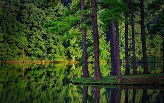Beautiful Lake On Nature Forest Wallpaper Full