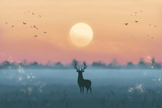 Deer Desktop Wallpaper