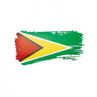Guyana Flag Vector Illustration On A White Background Stock
