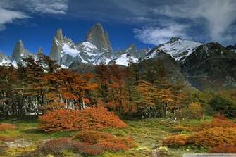 Fitzroy And Beech Trees In Autumn Los Glaciares National Park