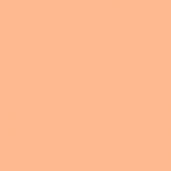 Coral Color Wallpaper Patterns Curliques Peach