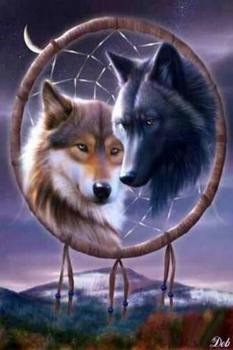 Wolves Dream Catcher iPhone Wallpaper Background Of Dreams