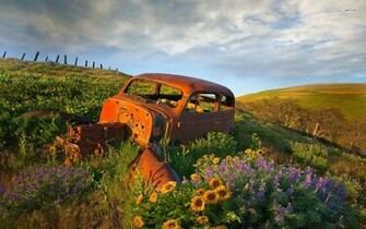 Abandoned Cars Steering Wheel Wallpaper Wide HD