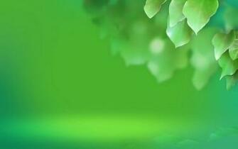 Wallpaper Very Rare Collections Of Amazing And Pc Desktop