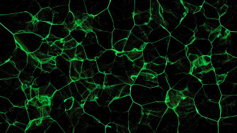 Cool Green And Black Wallpaper Computer