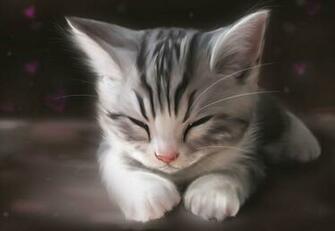 Category Animals HD Wallpaper Subcategory Cats
