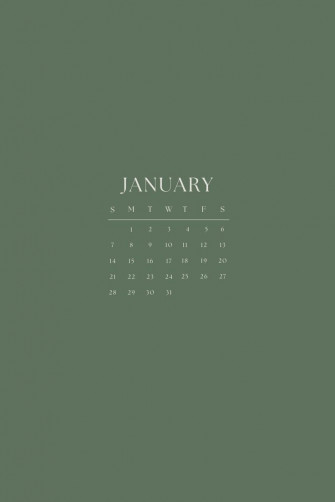 January Calendar Background