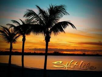 Found On Saltlife