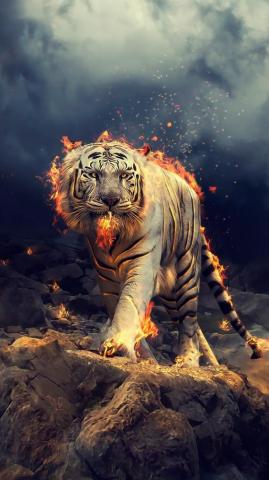 Angry Raging White Tiger Wallpaper