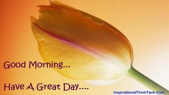 Morning Pictures Good Wishes Flowers Wallpaper