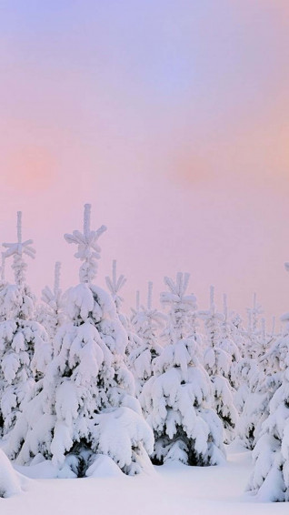 Snow Aesthetic Picture Wallpaper