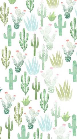 Desert Chic Wallpaper Soft And Simple Hues