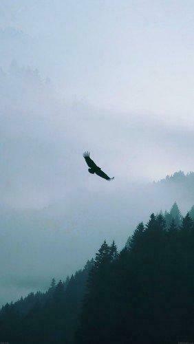 Papers Co Md70 Eagle Mountain Blue iPhone6 Wallpaper