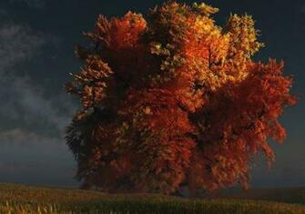 Golden Tree Wallpaper