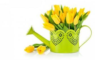 Pure High Definition HD You Can Cool Desktop Image For