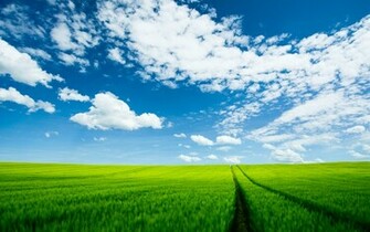 Summer Landscape Wallpaper HD