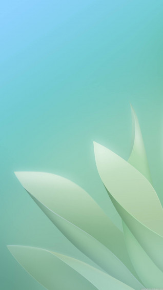 Wallpaper For Home Screen