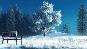 Winter Landscape Nature Snow Bench Trees 4k Ultra HD