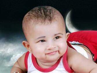 HD Wallpaper Cute Baby Tiger X Kb Jpeg