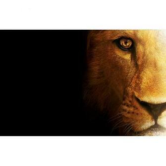 Lion Wallpaper Inches Laptop Skin By Shopkeeda Buy Online From