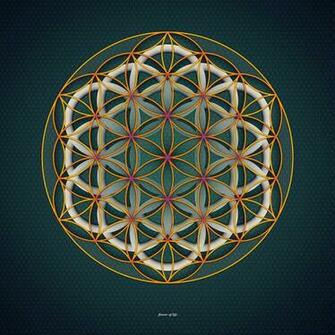 Flower Of Life Art Wallpaper By Nedxfullmoon