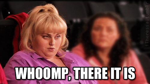 Fat Amy Pitch Perfect Fan Art