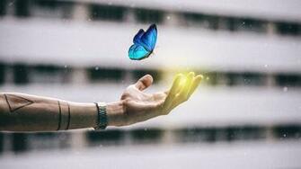 Wallpaper Hand Butterfly Tattoo Window