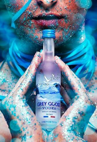 Grey Goose Wallpaper By Imustbedead