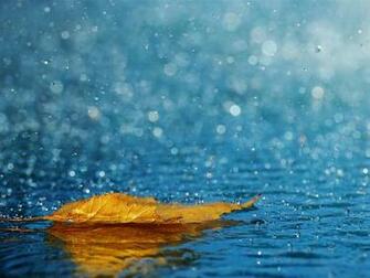 Heavy Rain Live Wallpaper Screenshot