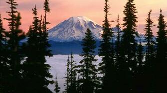 Mount Rainier National Park Wallpaper