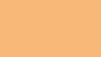 Mellow Apricot Solid Color Background