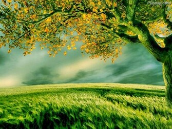 Funzug So Nice Nature Wallpaper