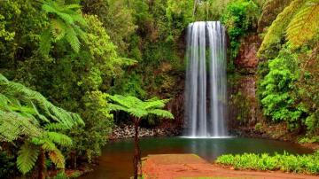 Hidden Waterfall Wallpaper Wide Screen 1080p 2k 4k