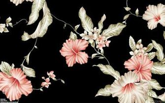 Pink Flowers On A Black Background Wallpaper Open