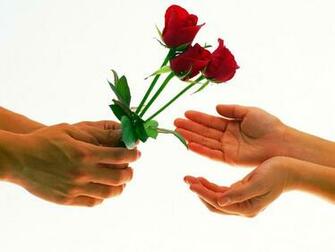 Wallpaper Rose Valentine S Day