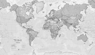 World Political Grey Wallpaper Mural Wallsauce Us Map