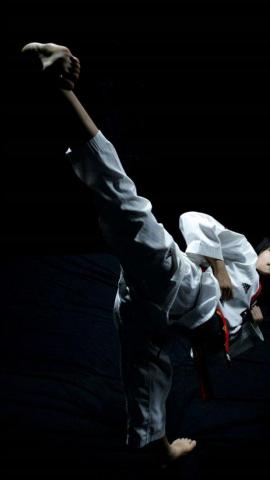 Best Taekwondo iPhone HD Wallpaper
