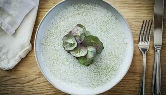 Sk Ne S Top Gourmet Restaurants Visit