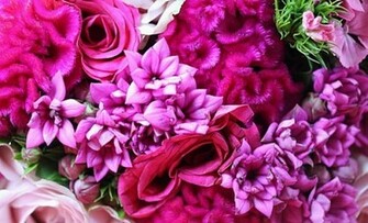 Pretty Pink Wallpaper
