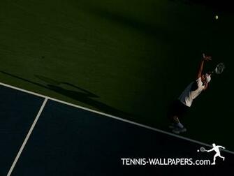 Tennis Gallery Tommy Haas Wallpaper