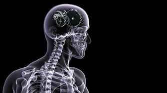 X Ray Full HD Wallpaper And Background Id