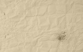 Paper Leaf Texture Background Photo