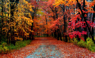 Autumn Season Wallpaper