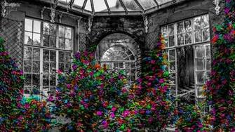 Wallpaper Greenhouse Garden Flowers Bw Tablet
