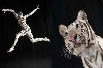 Body Painting Animals HD Wallpaper Hivewallpaper