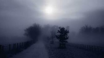Foggy Road Wallpaper