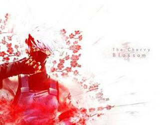 Cherry Blossom Wallpaper Background Anime